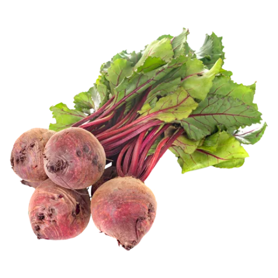 BEET / BETABEL BUNCH 12 CT
