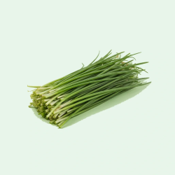 CHIVES FRESCH 1LB