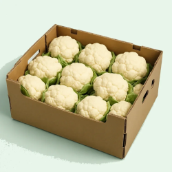 CAULIFLOWER 12 CT