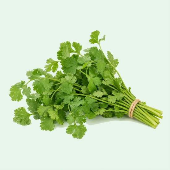 CILANTRO 60 CT