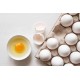 Eggs (L)-30 dozens/Case