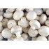 Fresh Mushrooms / Case