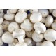 Fresh Mushrooms / Case