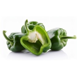 Green Pepper /Case