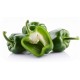 Green Pepper /Case