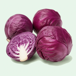 CABBAGE RED 50 LBS