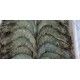 30/40 (Songa) HOSO Shrimp-24LB/Case