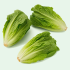 LETTUCE ROMAINE 24 CT