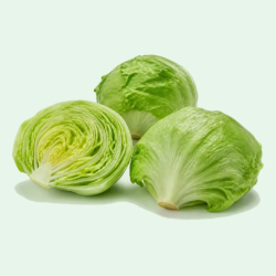 LETTUCE ICEBERG LINER 24 CT