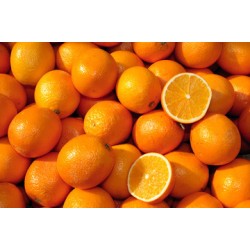 Orange - 72 CT/ Case