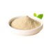 White Pepper Powder (Gel) - 1LB/Can