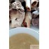 Pork Bone Soup Base (Japanese Style)-9LB/Jar