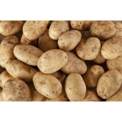 Potato - 50LB/Case