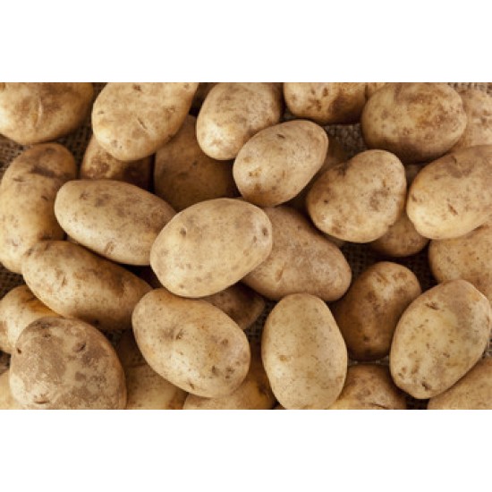 Potato - 50LB/Case