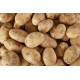 Potato - 50LB/Case
