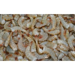 31-40 Shrimp IQF India P&D-20LB/Case