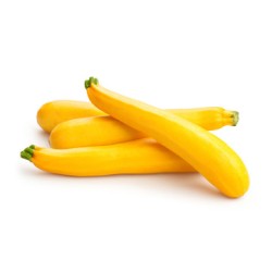 Squash Yellow 15LB