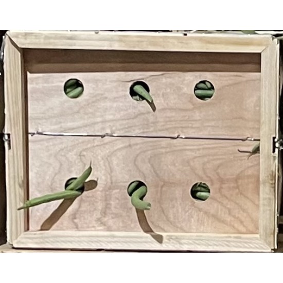Snap (String) Bean / Wood Box