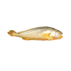 Yellow Croaker Fish (Frozen)-10LB/Case