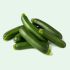 ZUCCHINI MEDIUM 15 LB