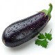 Eggplant Fancy (American) / Case