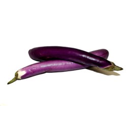 Chinese Eggplant / Case
