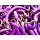 Chinese Eggplant - 30LB / Case