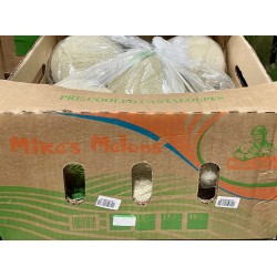 Cantaloupe (Red Honeydew)-6-12 pieces/Case