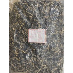 Fungus Strip - 5LB/Pack