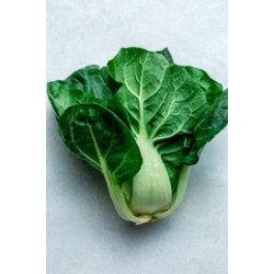 A Choy / Case