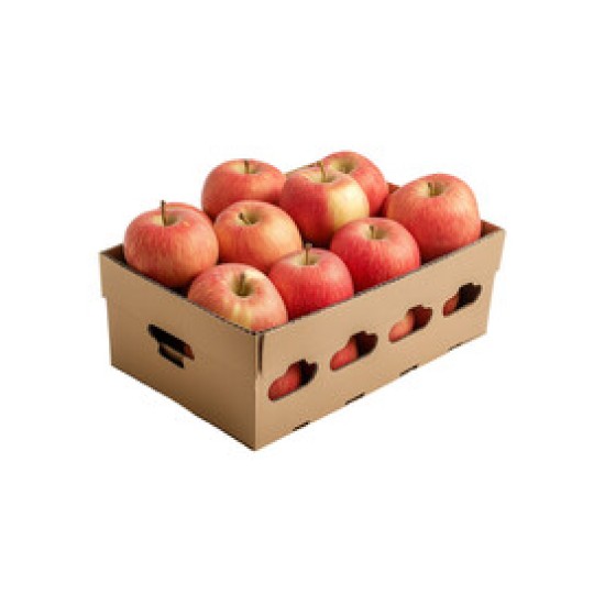 Apple (Fuji) / Case