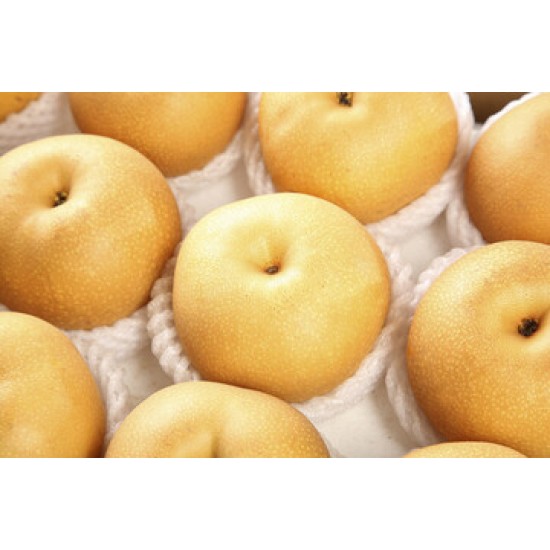 Asian Pear / Case
