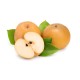 Asian Pear / Case