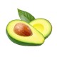 Avocado-60CT/Case