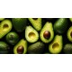 Avocado-60CT/Case