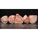 Beef Bone / Case