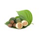 Betel Leaf / Box