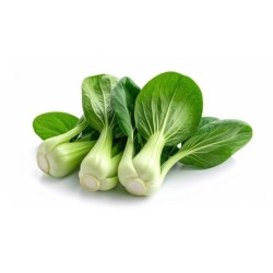 Baby Bok Choy / Case