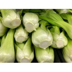 Baby Bok Choy / Case