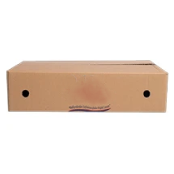 Beef Bone / Case