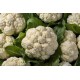 Cauliflower / Case