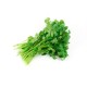 Cilantro Fresh /Case