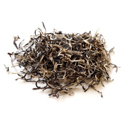 Fungus Strip - 5LB/Pack