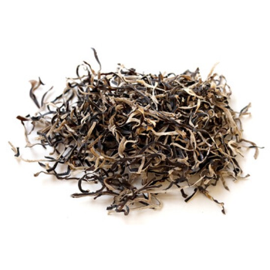 Fungus Strip - 5LB/Pack