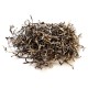 Fungus Strip - 5LB/Pack