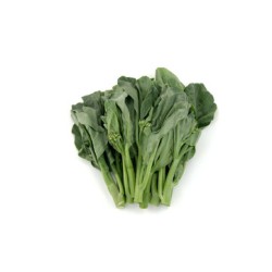 Gai Lan (Chinese Broccoli) / Case