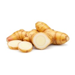 Galangal - 5LB/Pack