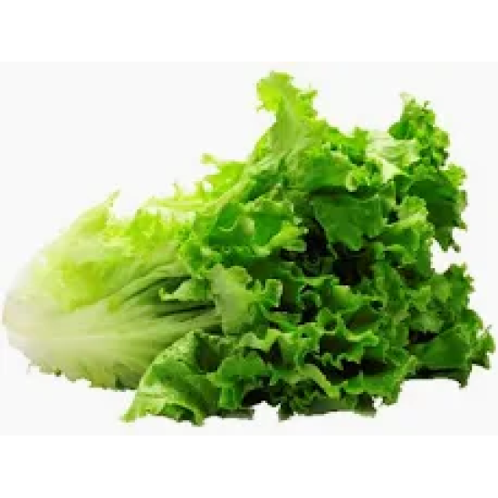 Green Leaf Lettuce / Case