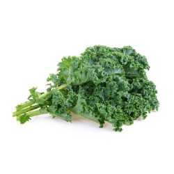 Kale / Case