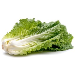 Long Bok Choy / Case